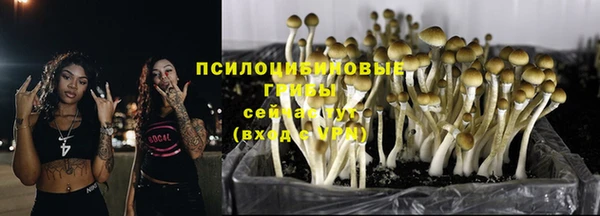 PSILOCYBIN Волоколамск