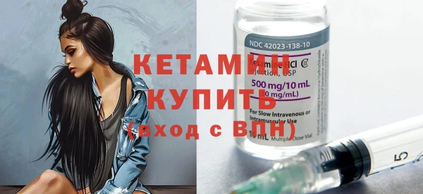 индика Новодвинск