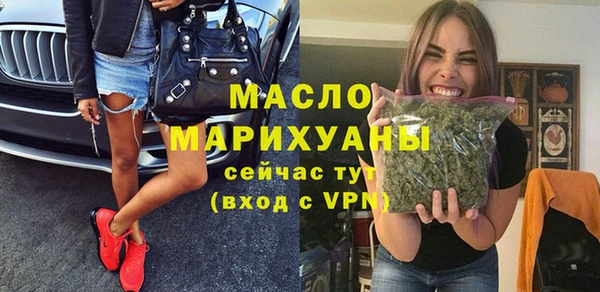 индика Новодвинск