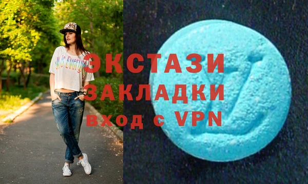 индика Новодвинск