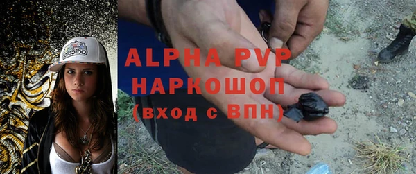 мдпв Новозыбков