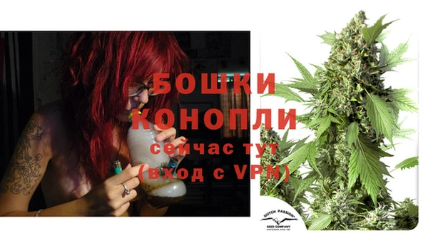 мдпв Новозыбков