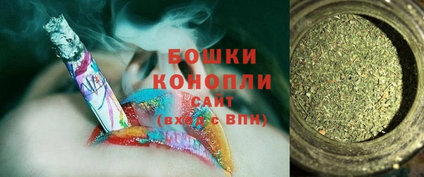 индика Новодвинск