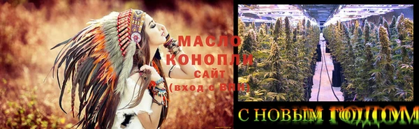 мдпв Новозыбков