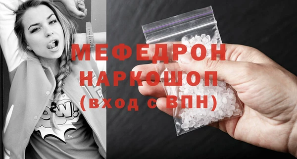 индика Новодвинск