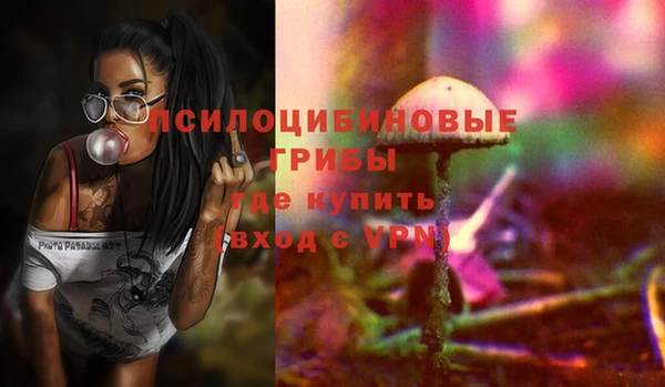 PSILOCYBIN Волоколамск