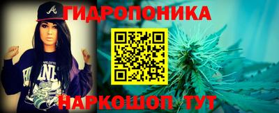 стаф Бийск
