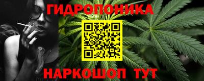 стаф Бийск