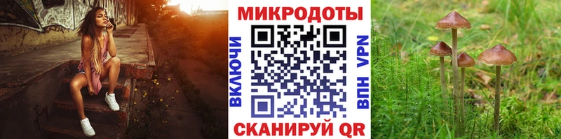 Псилоцибиновые грибы Psilocybe  Искитим 