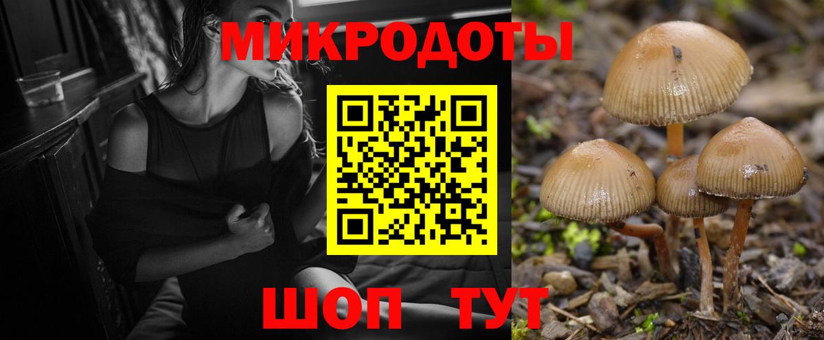 Искитим  Галлюциногенные грибы Psilocybe  Вход с VPN  Псилоцибиновые грибы Psilocybe 
