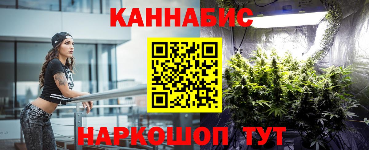 Бошки марихуана план  Вход с VPN  Искитим  Канабис OG Kush  Конопля гибрид 